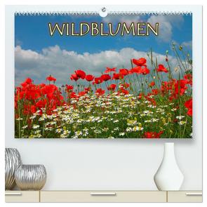 Wildblumen 2024 (hochwertiger Premium Wandkalender 2024 DIN A2 quer), Kunstdruck in Hochglanz von Geduldig,  Bildagentur