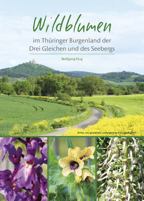 Wildblumen von Klug,  Wolfgang