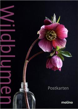 Wildblumen von Bauer,  Roland