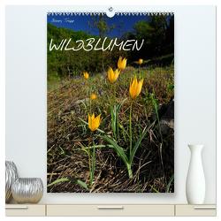 WILDBLUMEN (hochwertiger Premium Wandkalender 2024 DIN A2 hoch), Kunstdruck in Hochglanz von Trapp,  Benny