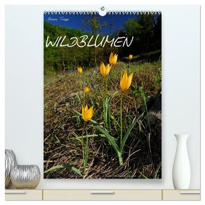 WILDBLUMEN (hochwertiger Premium Wandkalender 2024 DIN A2 hoch), Kunstdruck in Hochglanz von Trapp,  Benny