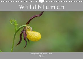Wildblumen (Wandkalender 2019 DIN A4 quer) von Trunk,  Alfred