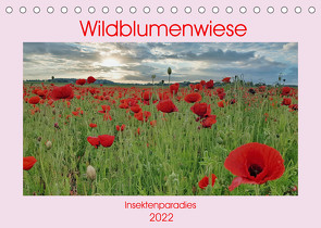 Wildblumenwiese Insektenparadies (Tischkalender 2022 DIN A5 quer) von Kleemann,  Claudia