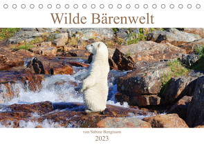 Wilde Bärenwelt (Tischkalender 2023 DIN A5 quer) von Bengtsson,  Sabine