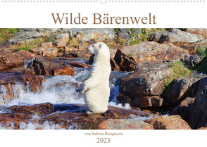 Wilde Bärenwelt (Wandkalender 2023 DIN A2 quer) von Bengtsson,  Sabine