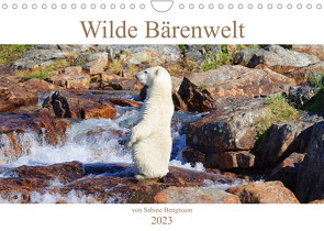 Wilde Bärenwelt (Wandkalender 2023 DIN A4 quer) von Bengtsson,  Sabine