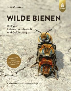 Wilde Bienen von Wiesbauer,  Heinz