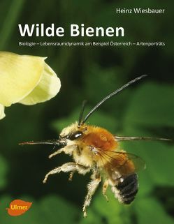 Wilde Bienen von Wiesbauer,  Heinz