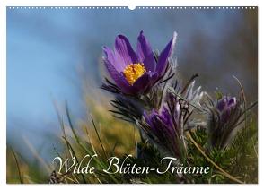 Wilde Blüten-Träume (Wandkalender 2024 DIN A2 quer), CALVENDO Monatskalender von Klapp,  Lutz