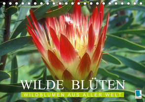 Wilde Blüten: Wildblumen aus aller Welt (Tischkalender 2021 DIN A5 quer) von CALVENDO