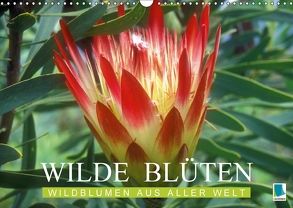 Wilde Blüten: Wildblumen aus aller Welt (Wandkalender 2018 DIN A3 quer) von CALVENDO