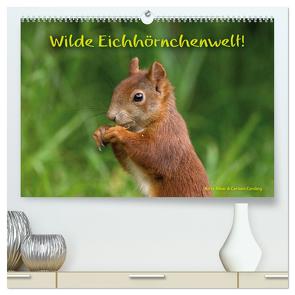 Wilde Eichhörnchenwelt! (hochwertiger Premium Wandkalender 2024 DIN A2 quer), Kunstdruck in Hochglanz von Alber und Carsten Cording,  Birte