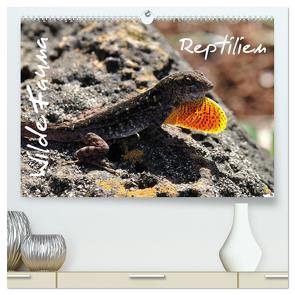 Wilde Fauna – Reptilien (hochwertiger Premium Wandkalender 2024 DIN A2 quer), Kunstdruck in Hochglanz von Bade / Ralf Emmerich,  Uwe