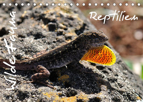 Wilde Fauna – Reptilien (Tischkalender 2023 DIN A5 quer) von Bade / Ralf Emmerich,  Uwe