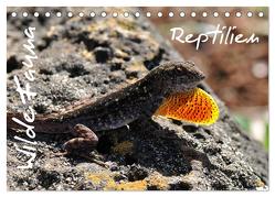 Wilde Fauna – Reptilien (Tischkalender 2024 DIN A5 quer), CALVENDO Monatskalender von Bade / Ralf Emmerich,  Uwe