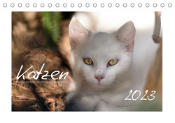 Wilde Hauskatzen (Tischkalender 2023 DIN A5 quer) von Frank,  Brigitte