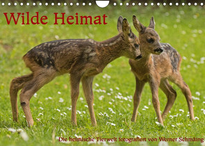 Wilde Heimat (Wandkalender 2023 DIN A4 quer) von Schmäing,  Werner