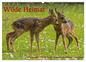 Wilde Heimat (Wandkalender 2024 DIN A2 quer), CALVENDO Monatskalender von Schmäing,  Werner