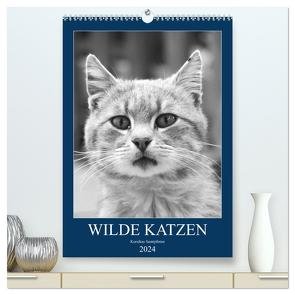 Wilde Katzen – Korsikas Samtpfoten (hochwertiger Premium Wandkalender 2024 DIN A2 hoch), Kunstdruck in Hochglanz von Schimmack,  Claudia
