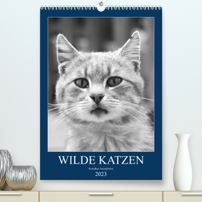 Wilde Katzen – Korsikas Samtpfoten (Premium, hochwertiger DIN A2 Wandkalender 2023, Kunstdruck in Hochglanz) von Schimmack,  Claudia