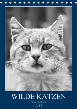 Wilde Katzen – Korsikas Samtpfoten (Tischkalender 2021 DIN A5 hoch) von Schimmack,  Claudia