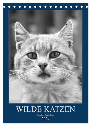 Wilde Katzen – Korsikas Samtpfoten (Tischkalender 2024 DIN A5 hoch), CALVENDO Monatskalender von Schimmack,  Claudia