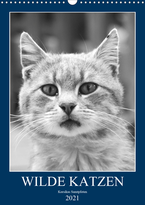 Wilde Katzen – Korsikas Samtpfoten (Wandkalender 2021 DIN A3 hoch) von Schimmack,  Claudia
