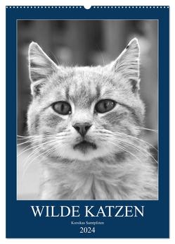 Wilde Katzen – Korsikas Samtpfoten (Wandkalender 2024 DIN A2 hoch), CALVENDO Monatskalender von Schimmack,  Claudia