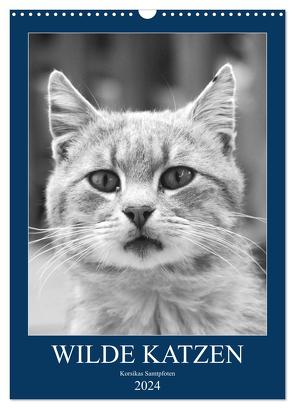 Wilde Katzen – Korsikas Samtpfoten (Wandkalender 2024 DIN A3 hoch), CALVENDO Monatskalender von Schimmack,  Claudia