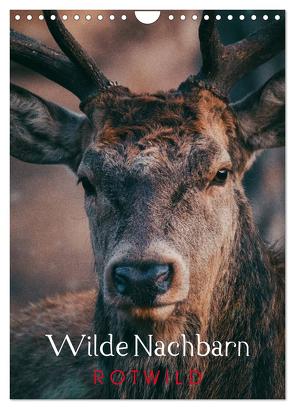 Wilde Nachbarn: Rotwild (Wandkalender 2024 DIN A4 hoch), CALVENDO Monatskalender von Payne,  Chris