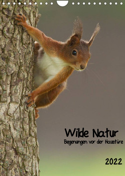 Wilde Natur – Begegnungen vor der Haustüre (Wandkalender 2022 DIN A4 hoch) von Segelcke Uwe Hilsmann,  Daniel