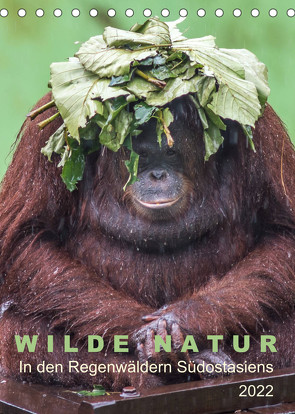 Wilde Natur – In den Regenwäldern Südostasiens (Tischkalender 2022 DIN A5 hoch) von Gärtner,  Oliver