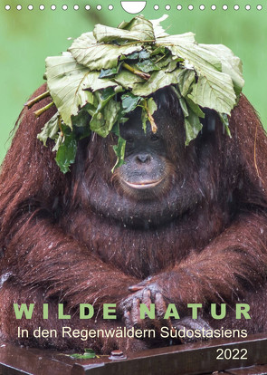 Wilde Natur – In den Regenwäldern Südostasiens (Wandkalender 2022 DIN A4 hoch) von Gärtner,  Oliver