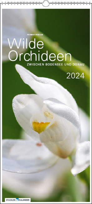 Wilde Orchideen 2024 von Bichler,  Thomas