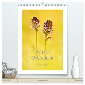 Wilde Orchideen Europas (hochwertiger Premium Wandkalender 2024 DIN A2 hoch), Kunstdruck in Hochglanz von Kraschl,  Marion