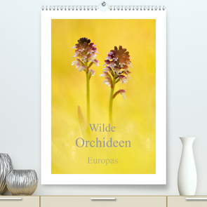 Wilde Orchideen Europas (Premium, hochwertiger DIN A2 Wandkalender 2023, Kunstdruck in Hochglanz) von Kraschl,  Marion