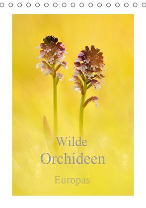 Wilde Orchideen Europas (Tischkalender 2019 DIN A5 hoch) von Kraschl,  Marion