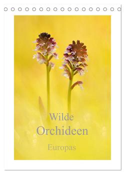 Wilde Orchideen Europas (Tischkalender 2024 DIN A5 hoch), CALVENDO Monatskalender von Kraschl,  Marion