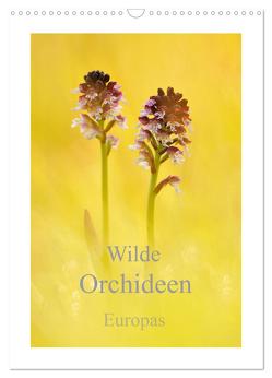 Wilde Orchideen Europas (Wandkalender 2024 DIN A3 hoch), CALVENDO Monatskalender von Kraschl,  Marion