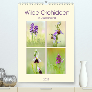 Wilde Orchideen in Deutschland 2022 (Premium, hochwertiger DIN A2 Wandkalender 2022, Kunstdruck in Hochglanz) von Beyer (Moqui),  Daniela