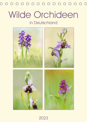 Wilde Orchideen in Deutschland 2023 (Tischkalender 2023 DIN A5 hoch) von Beyer (Moqui),  Daniela