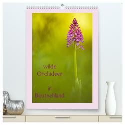 wilde Orchideen in Deutschland (hochwertiger Premium Wandkalender 2024 DIN A2 hoch), Kunstdruck in Hochglanz von Beyer (Moqui),  Daniela