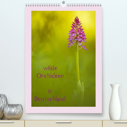 wilde Orchideen in Deutschland (Premium, hochwertiger DIN A2 Wandkalender 2023, Kunstdruck in Hochglanz) von Beyer (Moqui),  Daniela