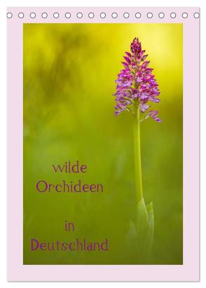 wilde Orchideen in Deutschland (Tischkalender 2024 DIN A5 hoch), CALVENDO Monatskalender von Beyer (Moqui),  Daniela