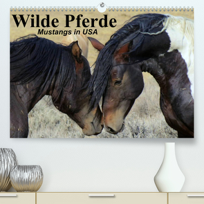 Wilde Pferde • Mustangs in USA (Premium, hochwertiger DIN A2 Wandkalender 2024, Kunstdruck in Hochglanz) von Stanzer,  Elisabeth