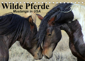 Wilde Pferde • Mustangs in USA (Tischkalender 2022 DIN A5 quer) von Stanzer,  Elisabeth