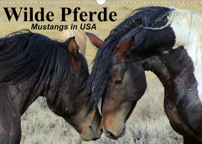 Wilde Pferde • Mustangs in USA (Wandkalender 2022 DIN A3 quer) von Stanzer,  Elisabeth