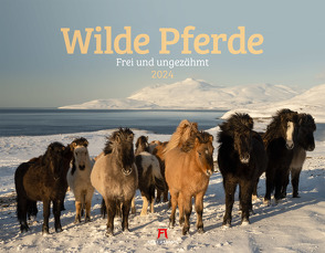 Wilde Pferde Kalender 2024