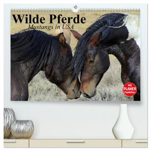 Wilde Pferde. Mustangs in USA (hochwertiger Premium Wandkalender 2024 DIN A2 quer), Kunstdruck in Hochglanz von Stanzer,  Elisabeth