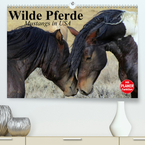 Wilde Pferde. Mustangs in USA (Premium, hochwertiger DIN A2 Wandkalender 2022, Kunstdruck in Hochglanz) von Stanzer,  Elisabeth